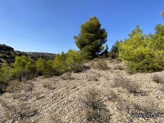 Οικόπεδο 436 τ.μ. για πώληση, Αργολίδα, Κρανίδι-thumb-17