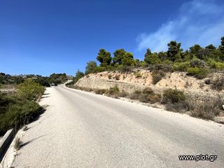 Οικόπεδο 436 τ.μ. για πώληση, Αργολίδα, Κρανίδι-thumb-20
