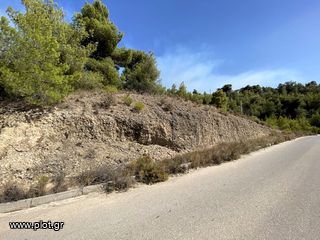 Οικόπεδο 436 τ.μ. για πώληση, Αργολίδα, Κρανίδι-thumb-24