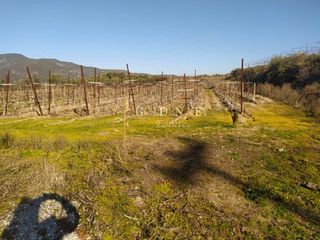 Μονοκατοικία 200 τ.μ. για πώληση, Ν. Καβάλας, Ελευθερές-thumb-11