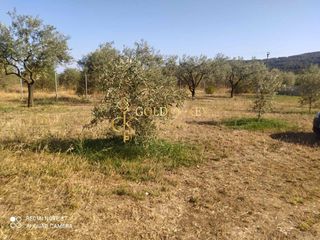 Μεζονέτα 119 τ.μ. για πώληση, Ν. Καβάλας, Ελευθερές-thumb-19