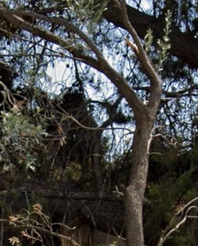 Οικόπεδο 507τ.μ. για πώληση-Γλυφάδα » Γκολφ