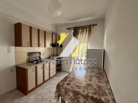Studio 40 sqm for rent
