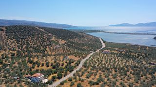 Αγροτεμάχια 2.230 τ.μ. προς πώληση, Αχλαδίτσα-thumb-9