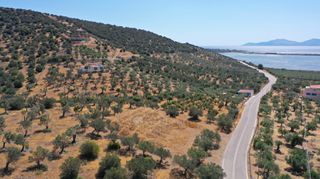 Αγροτεμάχια 2.230 τ.μ. προς πώληση, Αχλαδίτσα-thumb-18