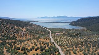 Αγροτεμάχια 2.230 τ.μ. προς πώληση, Αχλαδίτσα-thumb-11