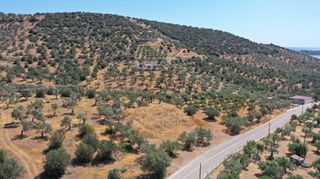 Αγροτεμάχια 2.230 τ.μ. προς πώληση, Αχλαδίτσα-thumb-14