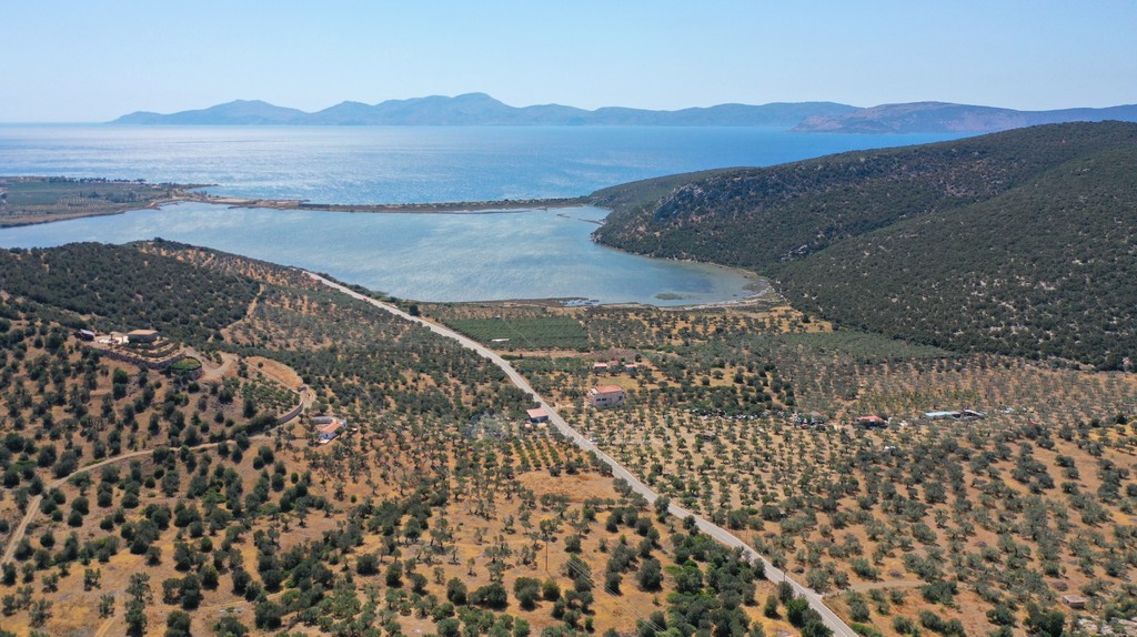 Αγροτεμάχια 2.230 τ.μ. προς πώληση, Αχλαδίτσα