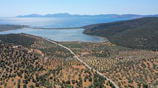 Αγροτεμάχια 2.230 τ.μ. προς πώληση, Αχλαδίτσα-thumb-4