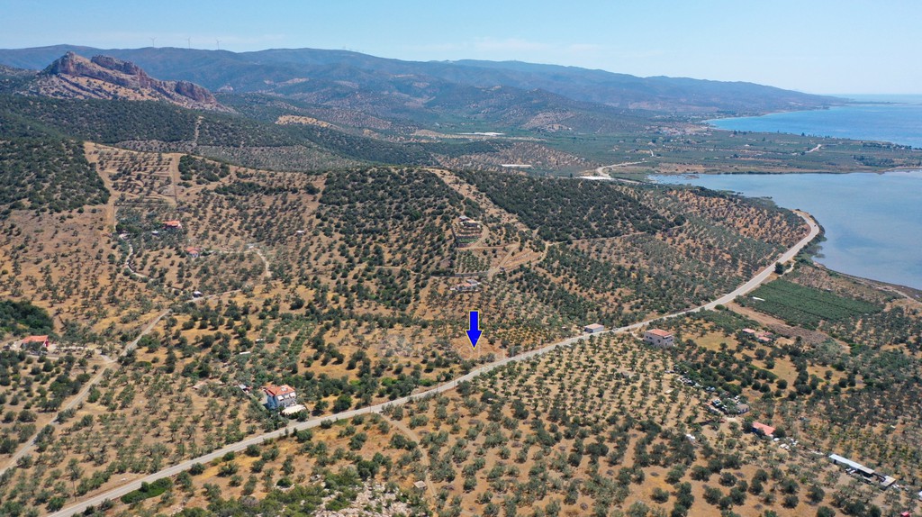 Αγροτεμάχια 2.230 τ.μ. προς πώληση, Αχλαδίτσα