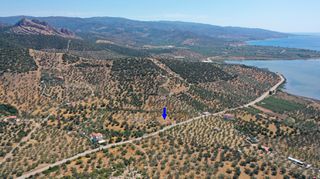 Αγροτεμάχια 2.230 τ.μ. προς πώληση, Αχλαδίτσα-thumb-3