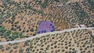 Αγροτεμάχια 2.230 τ.μ. προς πώληση, Αχλαδίτσα-thumb-1