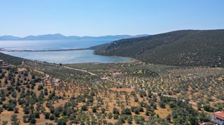 Αγροτεμάχια 2.230 τ.μ. προς πώληση, Αχλαδίτσα-thumb-10