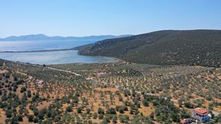 Αγροτεμάχια 2.230 τ.μ. προς πώληση, Αχλαδίτσα-thumb-12