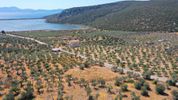 Parcel 2.230sqm for sale-Ermioni » Achladitsa