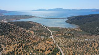 Αγροτεμάχια 2.230 τ.μ. προς πώληση, Αχλαδίτσα-thumb-19