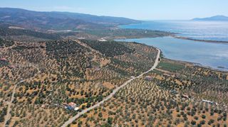 Αγροτεμάχια 2.230 τ.μ. προς πώληση, Αχλαδίτσα-thumb-5