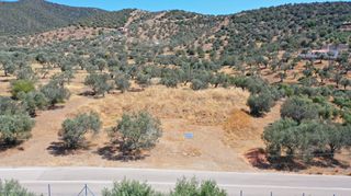 Αγροτεμάχια 2.230 τ.μ. προς πώληση, Αχλαδίτσα-thumb-7