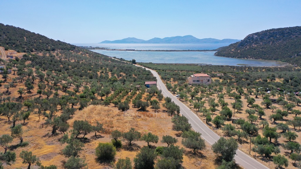 Αγροτεμάχια 2.230 τ.μ. προς πώληση, Αχλαδίτσα
