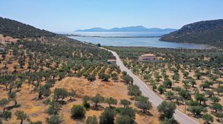 Αγροτεμάχια 2.230 τ.μ. προς πώληση, Αχλαδίτσα-thumb-2