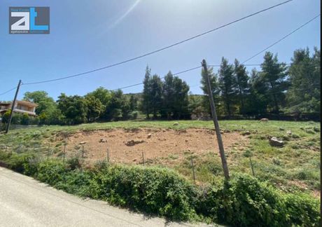 Οικόπεδο 1.000 τ.μ. για πώληση