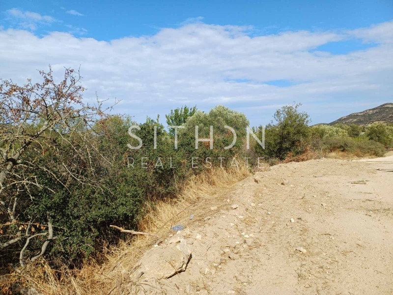 Αγροτεμάχια 2.161 τ.μ. προς πώληση, Συκιά Τορώνης