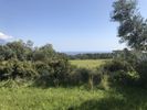 Land plot 557sqm for sale-Kefalonia » Leivatho