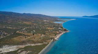 Αγροτεμάχια 9.842 τ.μ. για πώληση, Αργολίδα, Ερμιόνη-thumb-6