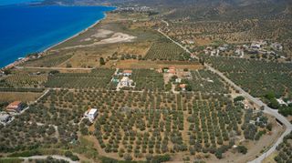 Αγροτεμάχια 9.842 τ.μ. για πώληση, Αργολίδα, Ερμιόνη-thumb-2
