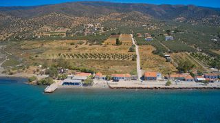 Αγροτεμάχια 9.842 τ.μ. για πώληση, Αργολίδα, Ερμιόνη-thumb-13