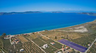 Αγροτεμάχια 9.842 τ.μ. για πώληση, Αργολίδα, Ερμιόνη-thumb-1