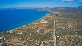 Αγροτεμάχια 9.842 τ.μ. για πώληση, Αργολίδα, Ερμιόνη-thumb-21