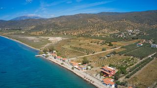 Αγροτεμάχια 9.842 τ.μ. για πώληση, Αργολίδα, Ερμιόνη-thumb-8