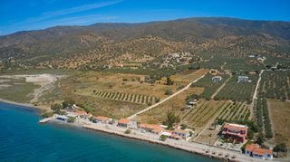 Αγροτεμάχια 9.842 τ.μ. για πώληση, Αργολίδα, Ερμιόνη-thumb-15