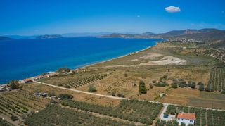 Αγροτεμάχια 9.842 τ.μ. για πώληση, Αργολίδα, Ερμιόνη-thumb-14