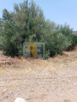 Land plot 337sqm for sale-Paiania » Agios Andreas