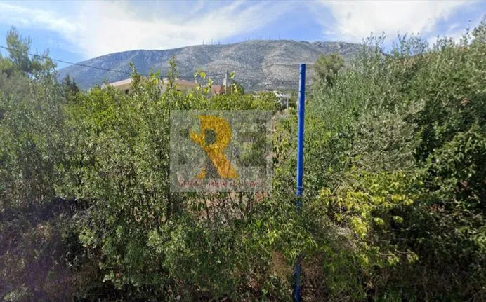 Land plot 537 sqm for sale, Athens - East, Paiania