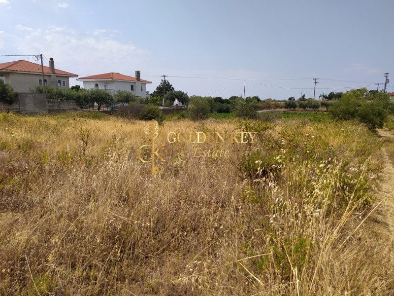 Αγροτεμάχια 1.500 τ.μ. για πώληση, Ν. Καβάλας, Ελευθερές