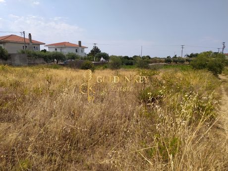 Parcel 1.500sqm for sale-Eleitheres » Elaiochori