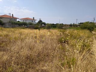 Αγροτεμάχια 1.500 τ.μ. για πώληση, Ν. Καβάλας, Ελευθερές-thumb-1