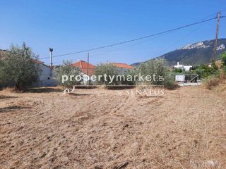 Οικόπεδο 860 τ.μ. για πώληση, Ν. Καβάλας, Χρυσούπολη-thumb-8