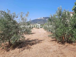 Οικόπεδο 860 τ.μ. για πώληση, Ν. Καβάλας, Χρυσούπολη-thumb-4