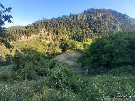 Land plot 1.200sqm for sale-Pavliani » Nea Pavliani