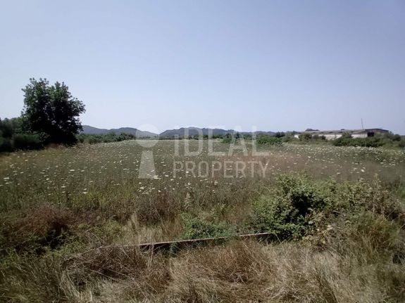 Land plot 10.287 sqm for sale, Ilia, Archaia Olimpia