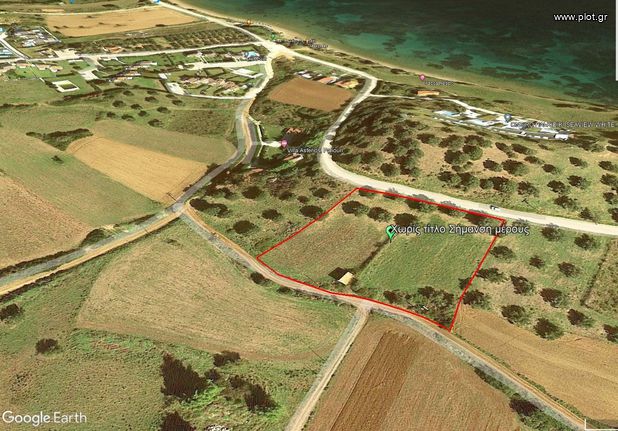 Αγροτεμάχια 5.000 τ.μ. για πώληση, Χαλκιδική, Παλλήνη