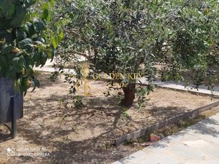 Διαμέρισμα 600 τ.μ. για πώληση, Ν. Καβάλας, Ελευθερές-thumb-9