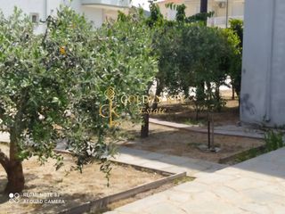 Διαμέρισμα 600 τ.μ. για πώληση, Ν. Καβάλας, Ελευθερές-thumb-8
