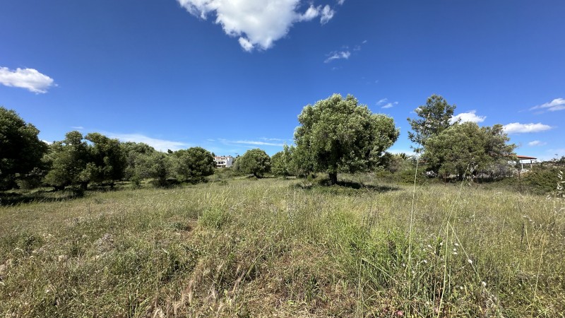 Αγροτεμάχια 15.737 τ.μ. πρός πώληση, Χαλκιδική, Σιθωνία