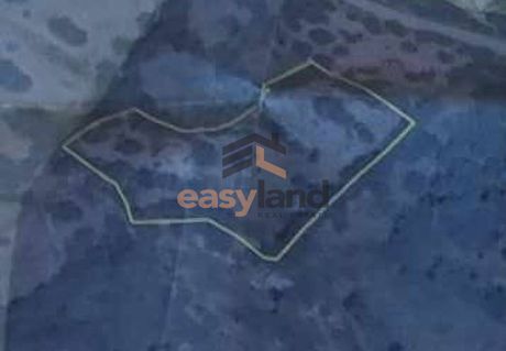 Οικόπεδο 1.000 τ.μ. για πώληση