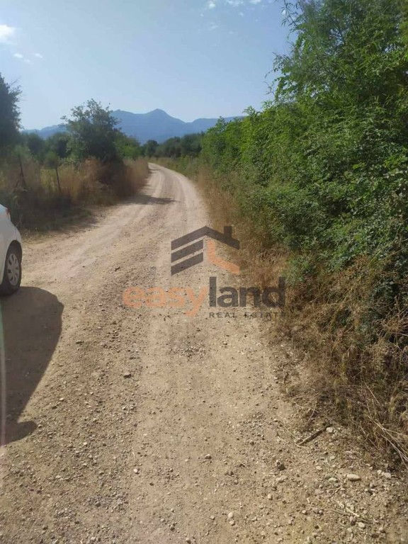 Οικόπεδο 17.000 τ.μ. προς πώληση, Αχαΐα, Φαρές